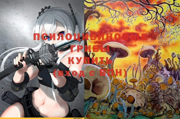 mix Аркадак