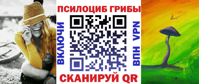 где найти наркотики  Тайга  Псилоцибиновые грибы прущие грибы 